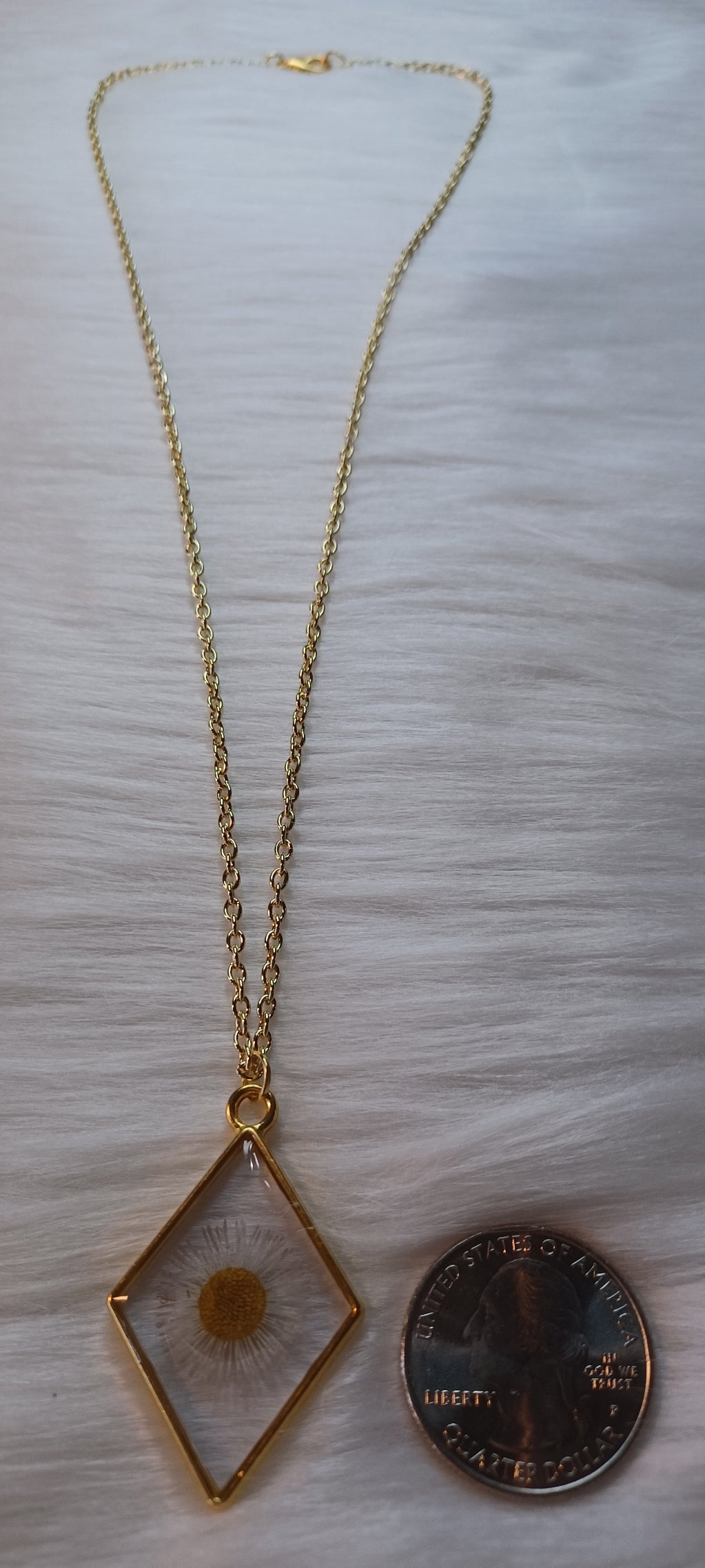 Gold Necklace, Dried Daisy in Resin