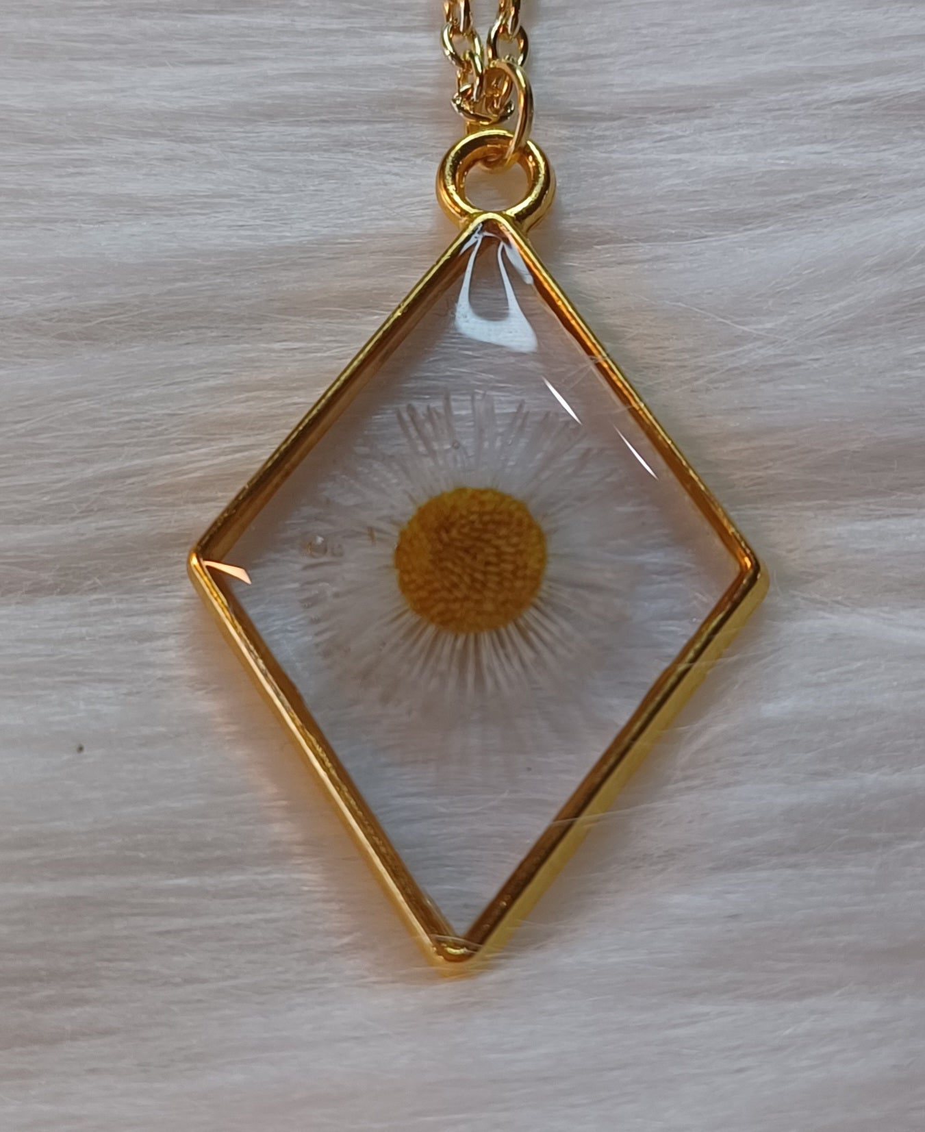 Gold Necklace, Dried Daisy in Resin