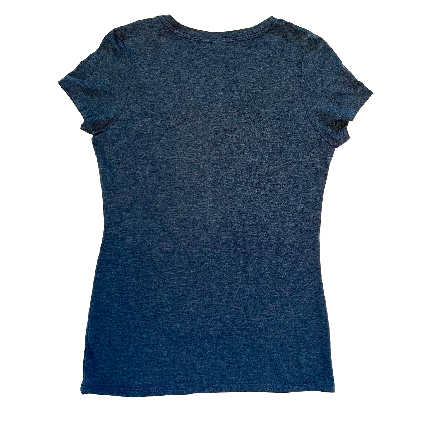 Flamingo V-Neck Tee