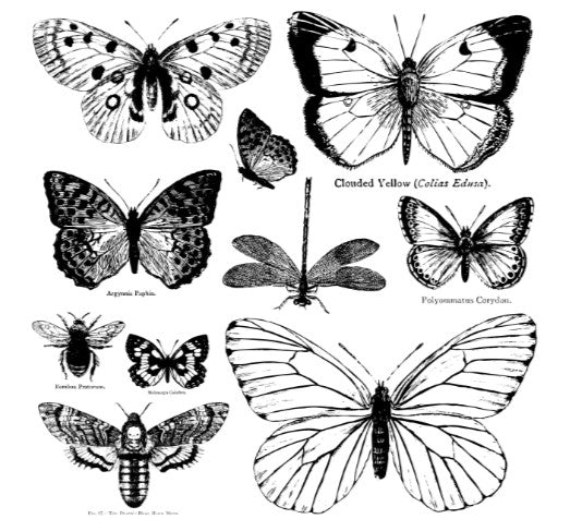 Butterflies 12x12 Decor Stamp