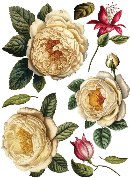 Collage de fleurs IOD Transfer 8x12 Pad™