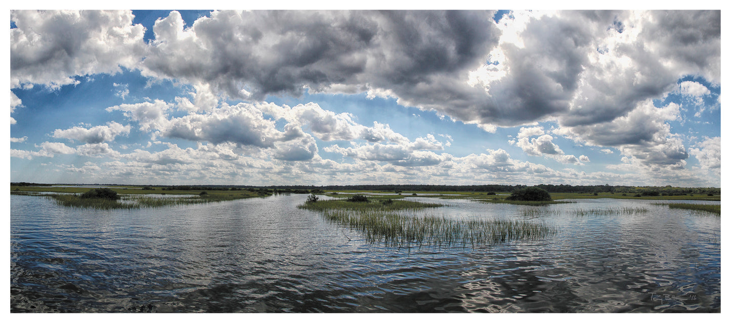 Flood Tide on Big Creek - Card