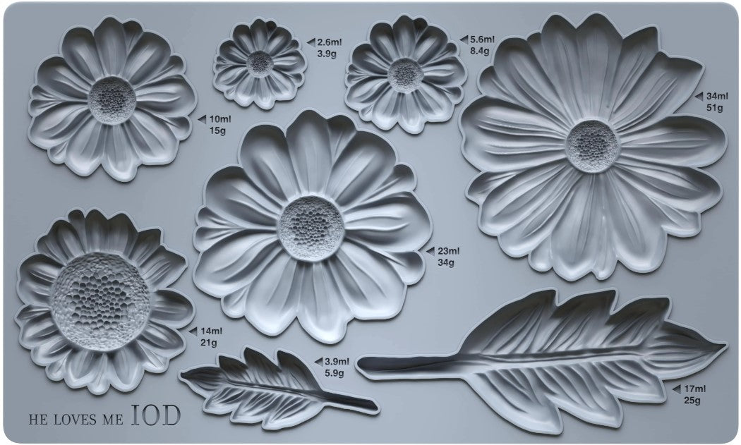 He Loves Me 6X10 IOD Mould