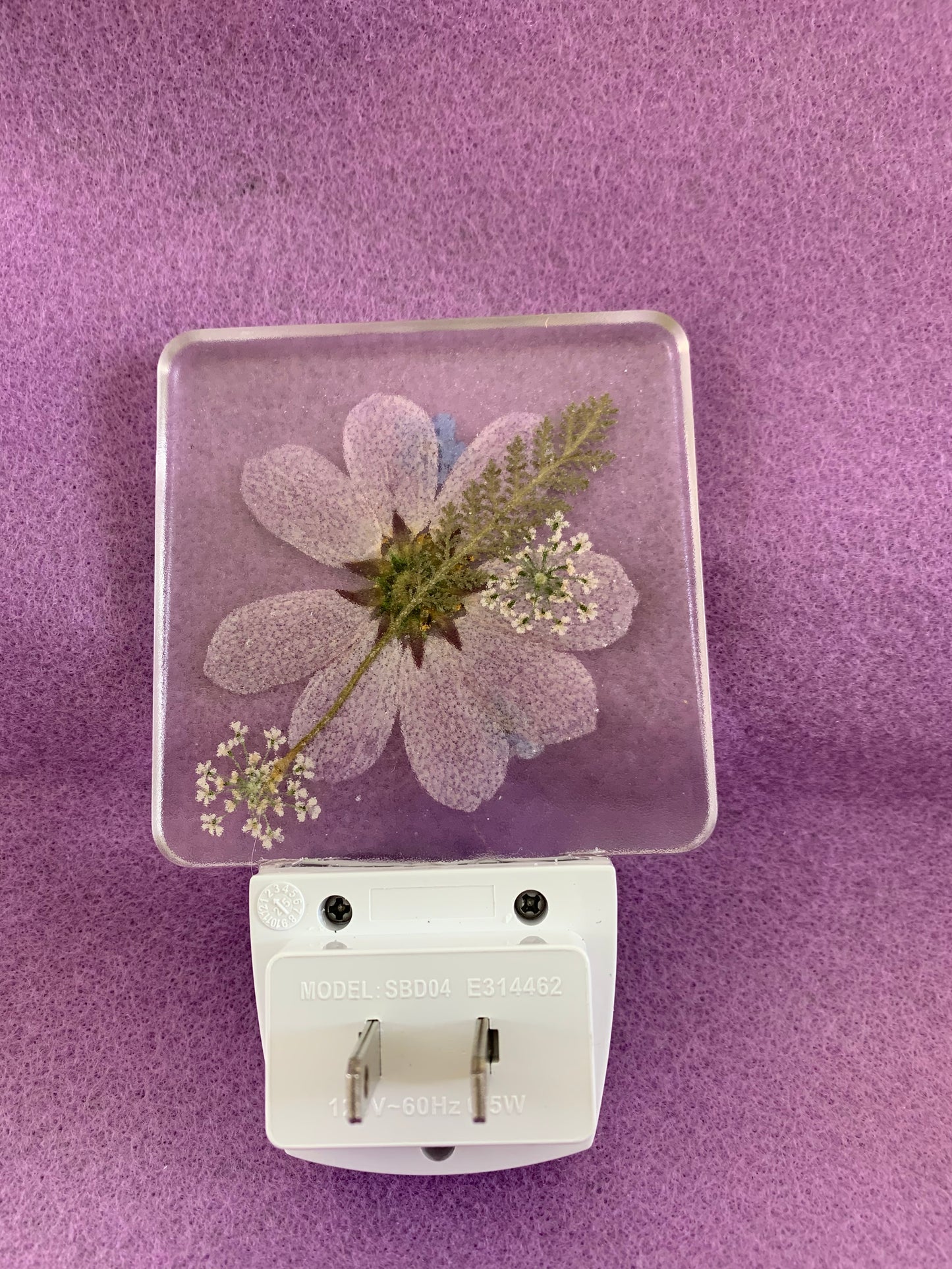 LED Night Light