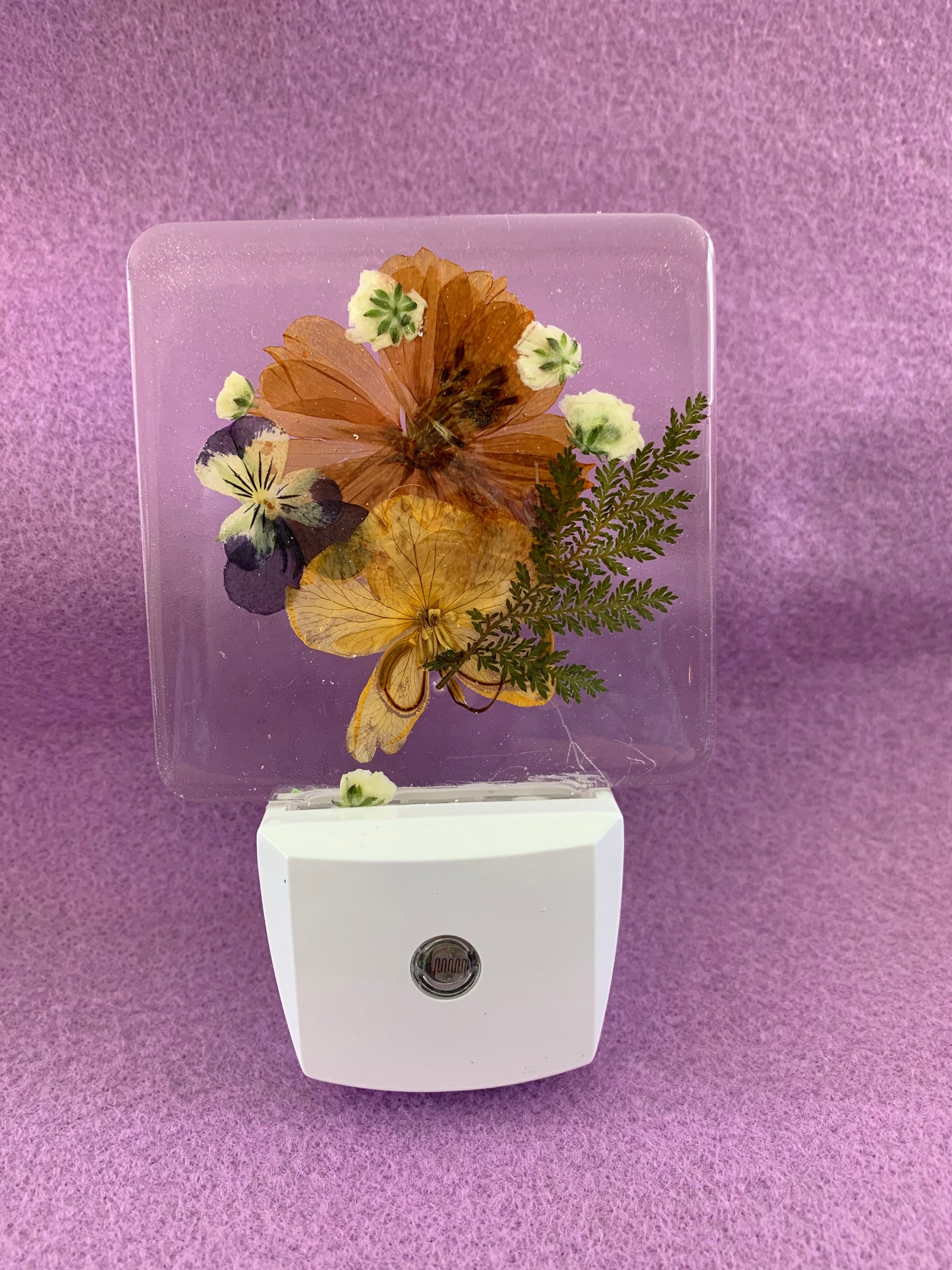 LED Night Light
