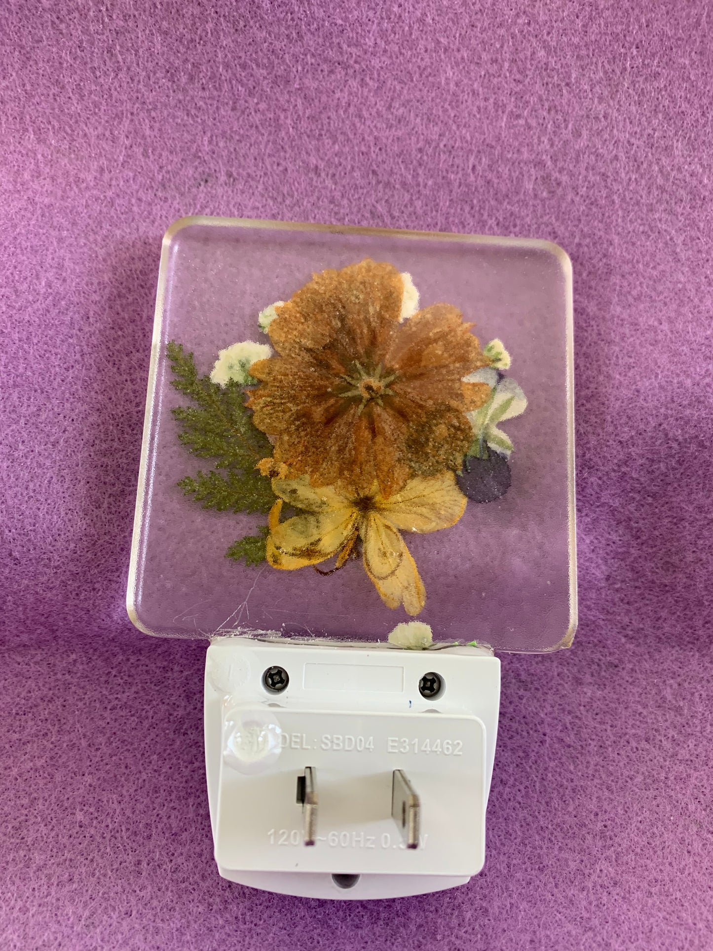 LED Night Light