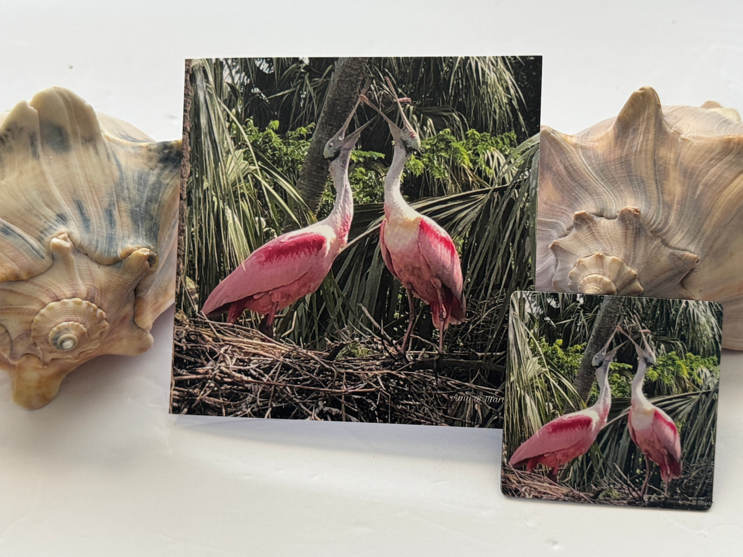 Echoes Of Love~ *GIFT PACK* (Card And Matching Magnet)