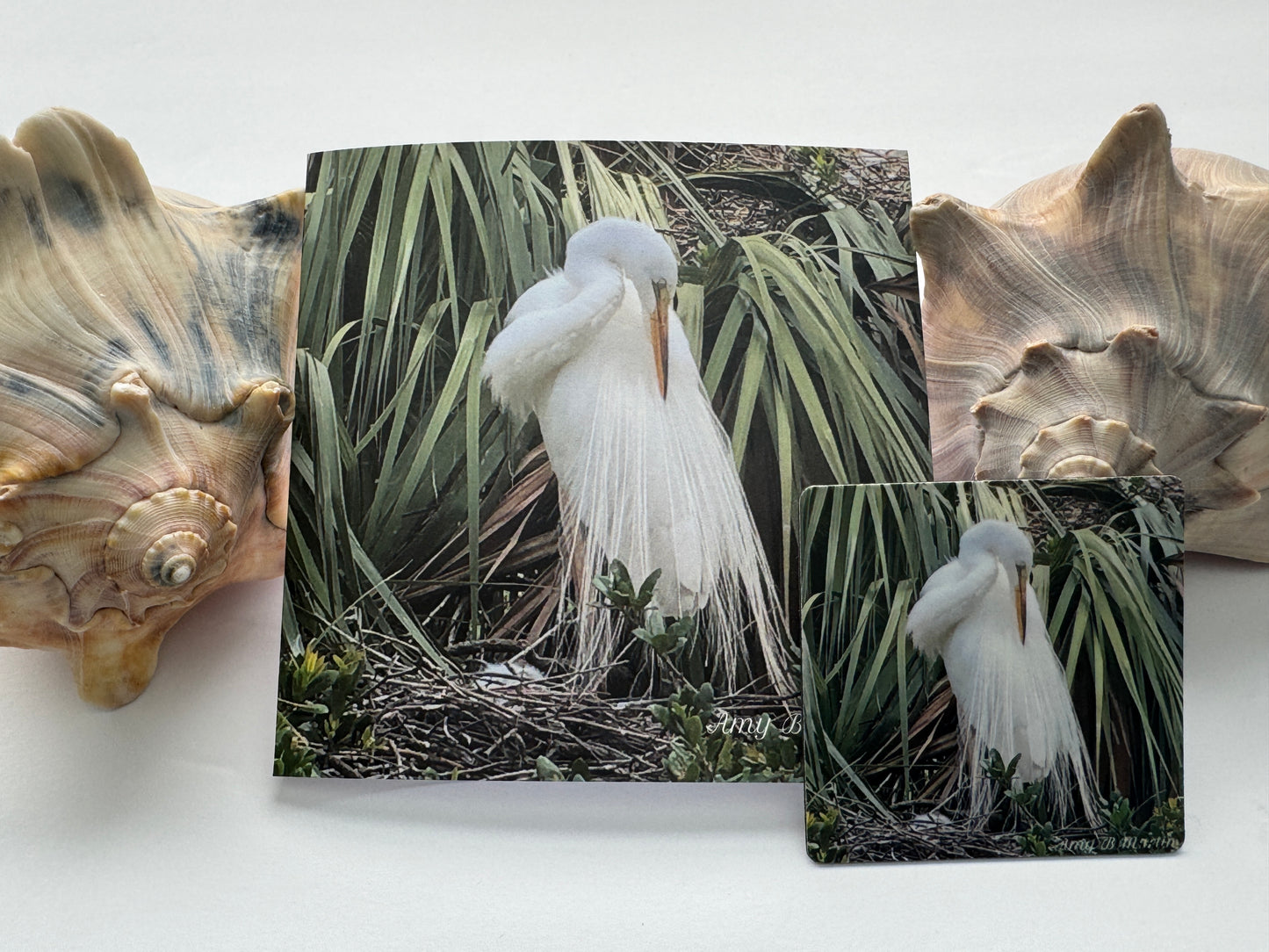Card Graceful Beauty~ *GIFT PACK* (Card And Matching Magnet)