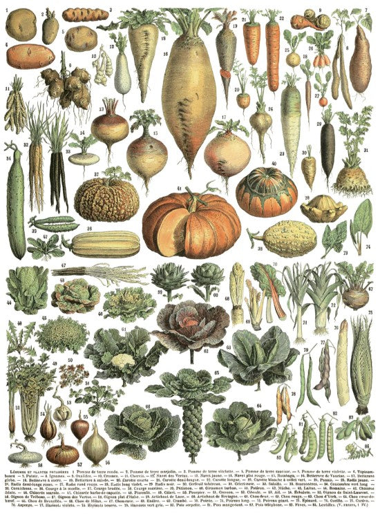 Millot's Pages IOD Transfer 12x16 Pad