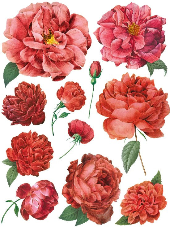 Redoute II IOD Transfer 12x16 Pad