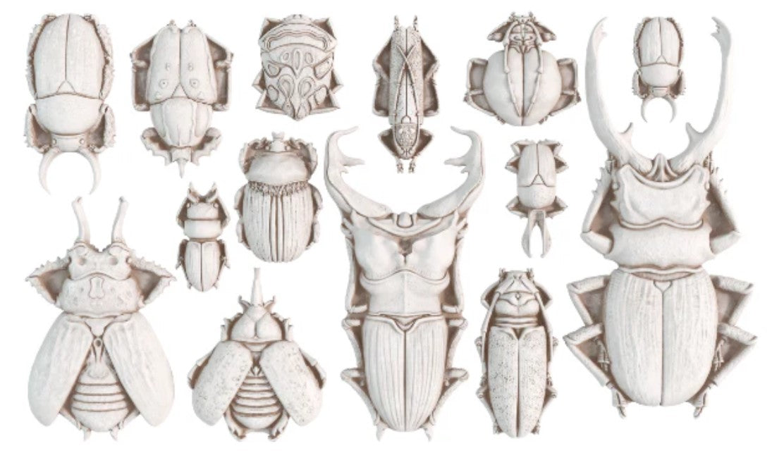 Specimens 6X10 IOD Mould™