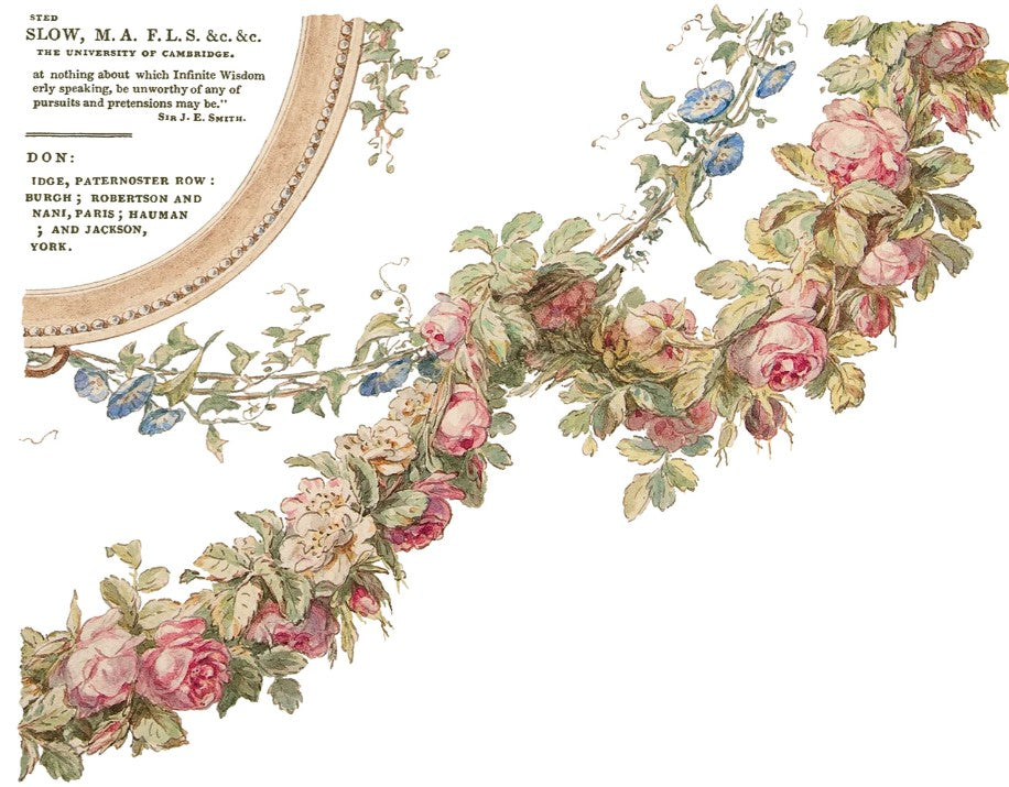 The Botanist IOD Transfer 12x16 Pad