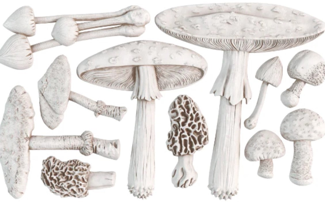 Toadstool 6X10 IOD Mould