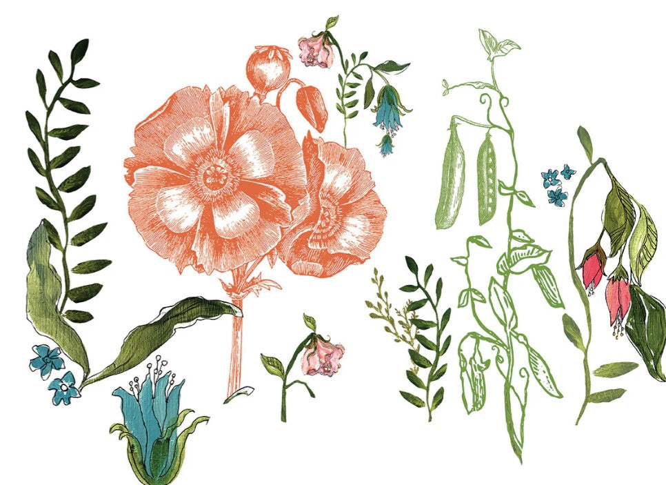 Wander IOD Transfer 12x16 Pad