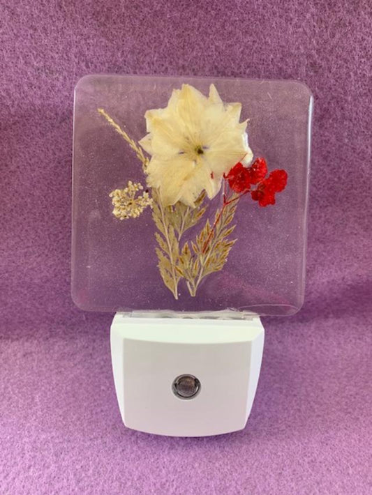 LED Night Light