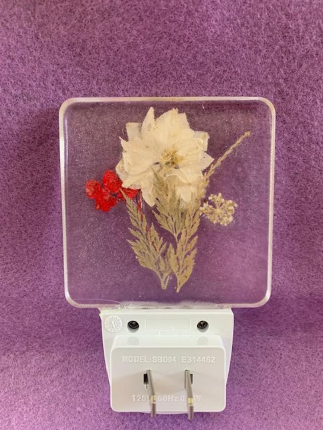 LED Night Light