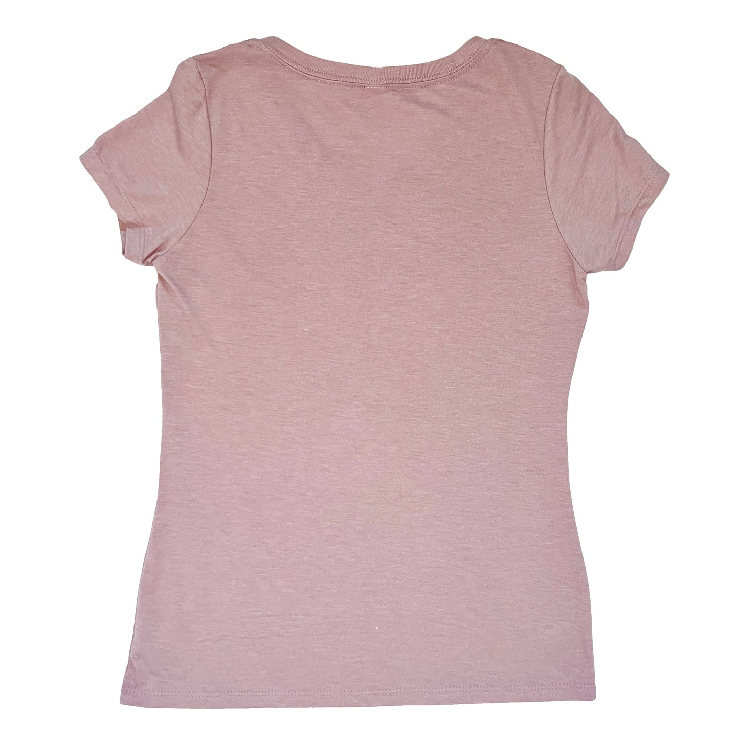 Flamingo V-Neck Tee