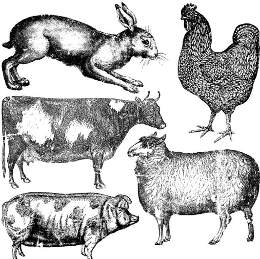 Farm Animals 12x12 Decor Stamp