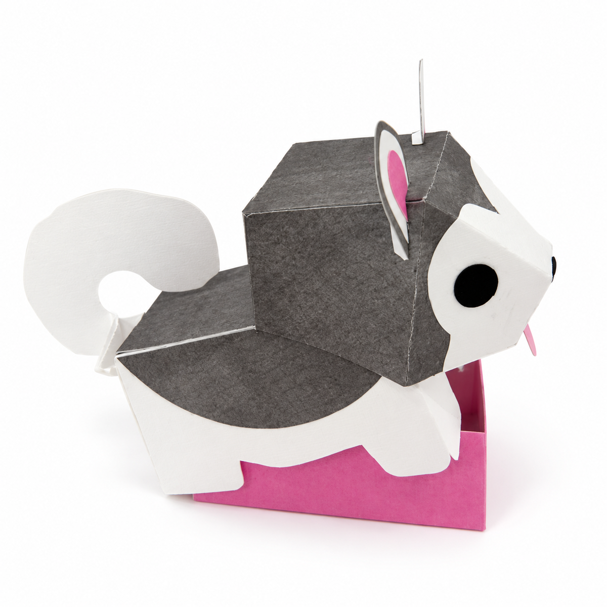 Malamute Puppy Gift Box