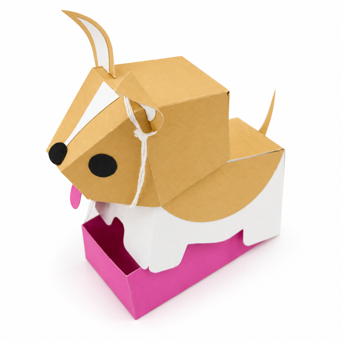 Collie Puppy Gift Box