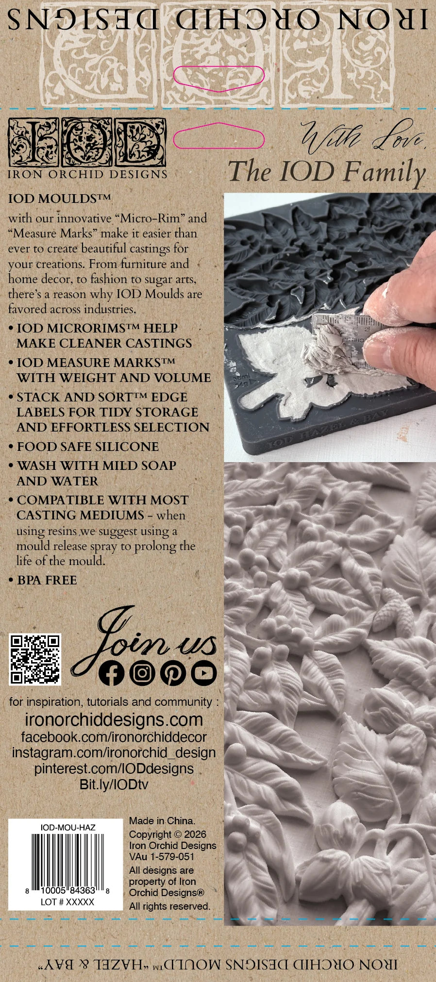 Hazel & Bay 6x10 IOD Mould™