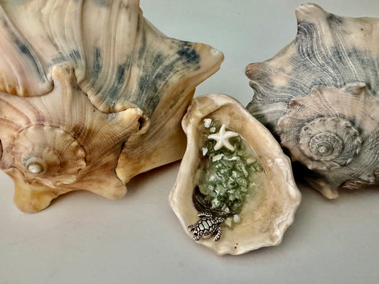 Oyster Shell Sea Turtle Keppsake