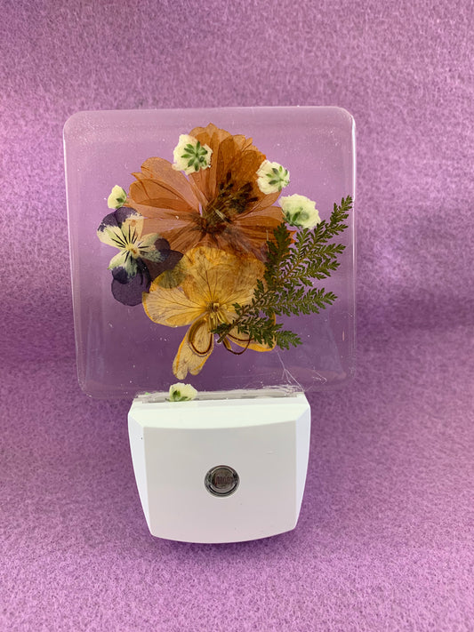 LED Night Light