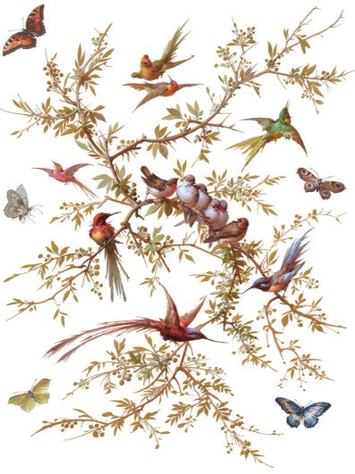 Madeleine IOD Transfer 12x16 Pad