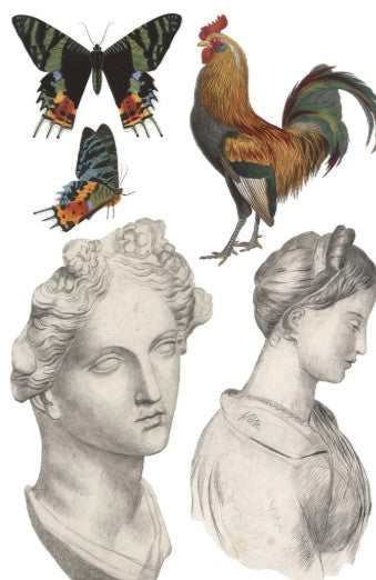 Saint Ouen IOD Transfer 8x12 Pad