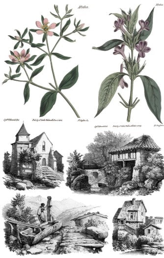 Saint Ouen IOD Transfer 8x12 Pad