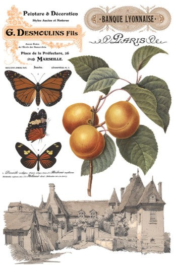 Saint Ouen IOD Transfer 8x12 Pad