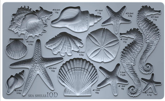 Sea Shells 6x10 IOD Mould