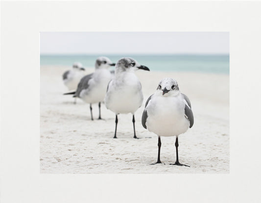 The Waiting Line - Staci Doucett Photography