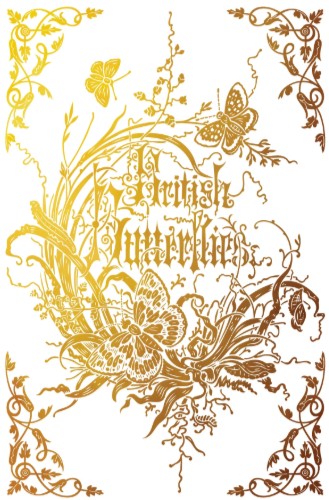 Athenaeum IOD Foil Transfer 8x12 Pad™