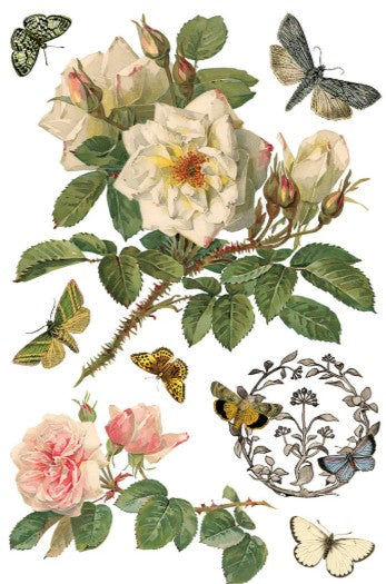 By Any Other Name IOD Transfer 8x12 Pad