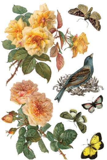 By Any Other Name IOD Transfer 8x12 Pad