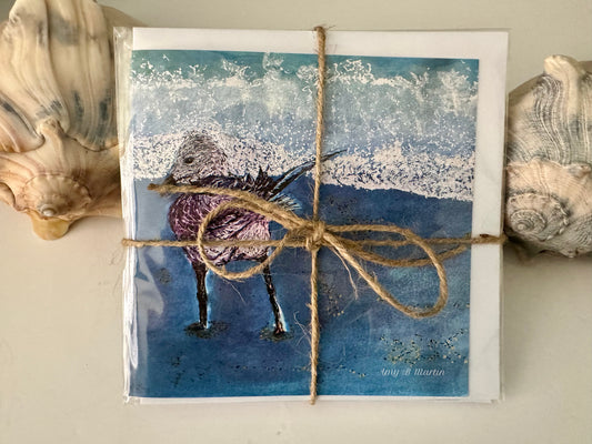 6 Pack Of Beautiful Watercolor Cards - Sandpiper