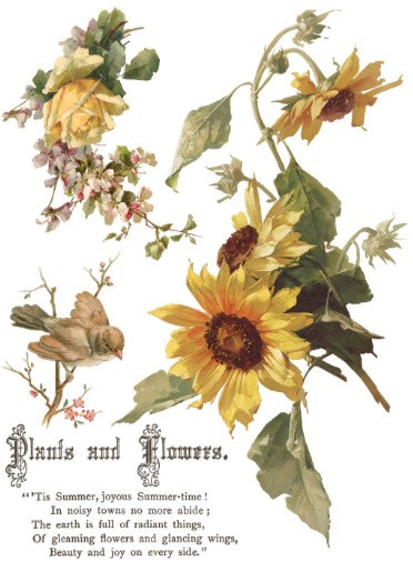 Flowers by the Poets IOD Transfer 12x16 Pad™