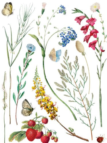 Marché des Fleurs IOD Transfer 12x16 Pad™