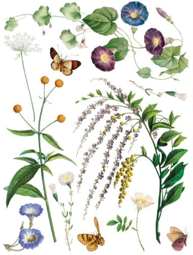 Marché des Fleurs IOD Transfer 12x16 Pad™