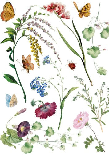 Marché des Fleurs IOD Transfer 12x16 Pad™