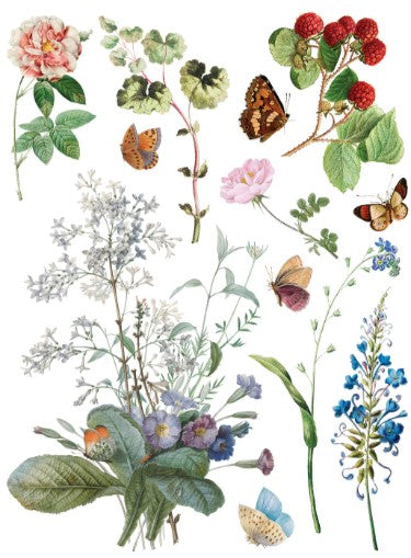 Marché des Fleurs IOD Transfer 12x16 Pad™