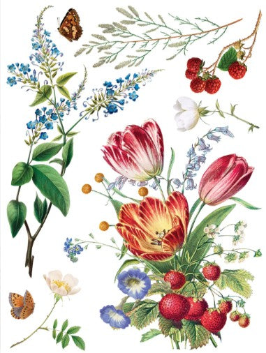 Marché des Fleurs IOD Transfer 12x16 Pad™