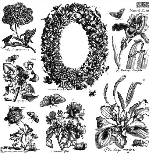 Nature's Etchings 12x12 IOD Stamp 2 Sheets™