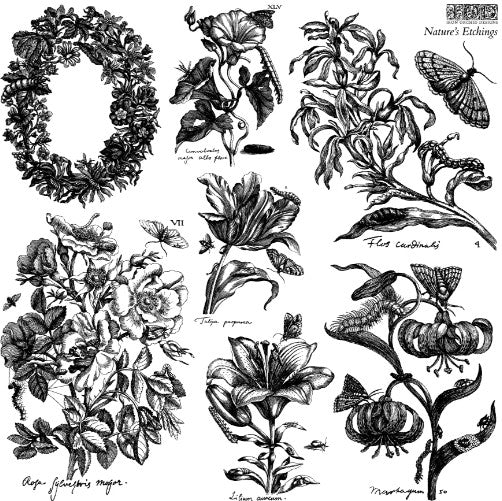 Nature's Etchings 12x12 IOD Stamp 2 Sheets™