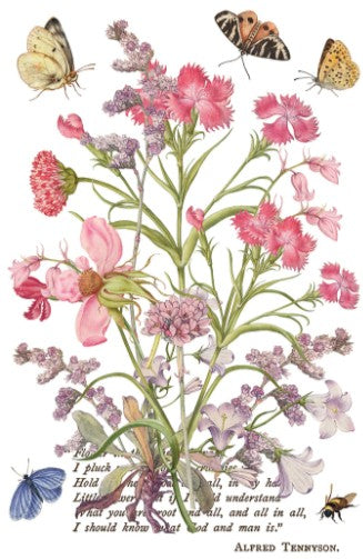 Primrose Isle IOD Transfer 8x12 Pad™
